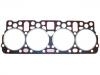 прокладка цилиндра Cylinder Head Gasket:43-06C8-12