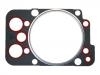 прокладка цилиндра Cylinder Head Gasket:448-06C8-1