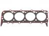 Cylinder Head Gasket:6601-1003020