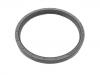 Crankshaft Oil Seal:90354378