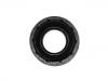Oil Seal:38189-21G17