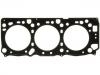 Cylinder Head Gasket:10109800