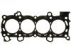 прокладка цилиндра Cylinder Head Gasket:10136700