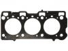 Cylinder Head Gasket:22311-3A020