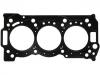 Cylinder Head Gasket:1005B210