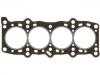 Cylinder Head Gasket:7648057