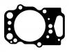 Cylinder Head Gasket:1 892 766