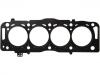 прокладка цилиндра Cylinder Head Gasket:0209.GP