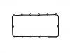 прокладка для крышки клапаной камеры Valve Cover Gasket:1 760 800