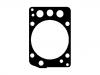 Cylinder Head Gasket:460 016 04 20