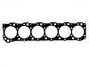 Cylinder Head Gasket:504 007 514