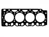 Cylinder Head Gasket:0450 4793