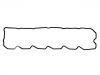 Valve Cover Gasket:504070040
