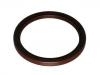 Crankshaft Oil Seal:77 00 103 946