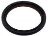 Crankshaft Oil Seal:77 01 473 493