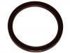 Crankshaft Oil Seal:53020788AB