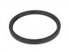 Crankshaft Oil Seal:85108352