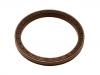 Oil Seal:1 534 012