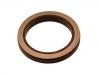 Oil Seal:1 313 719