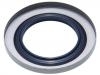 Oil Seal:G003-25-744A