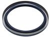 Oil Seal:02D 525 596 B