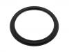 Oil Seal:74 20 518 642