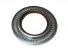 Oil Seal:81.52403.6006