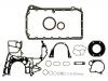 Dichtungsvollsatz, Motor Full Gasket Set:11 11 2 247 511