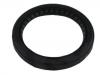 Crankshaft Oil Seal:11389-54L00