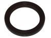 Crankshaft Oil Seal:PE01-10-602