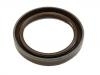 Crankshaft Oil Seal:CY01-10-602