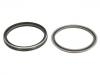 Crankshaft Oil Seal:1704 007