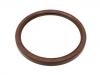 Crankshaft Oil Seal:31 251 856