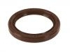 Crankshaft Oil Seal:31 251 855