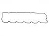 Valve Cover Gasket:1706 193