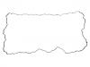 Valve Cover Gasket:1900 010