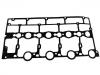 Valve Cover Gasket:5066786AA