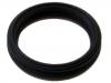 Oil Seal:4621851