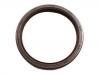 Oil Seal:8636194