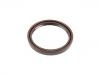 ختم النفط Oil Seal:40102160