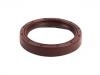 ختم النفط Oil Seal:23117531365