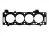 Cylinder Head Gasket:0209.FZ