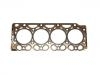 Cylinder Head Gasket:0450 4795