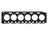 прокладка цилиндра Cylinder Head Gasket:0450 2868