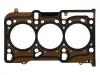Cylinder Head Gasket:55 569 624