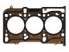 Cylinder Head Gasket:55 569 623