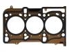 Cylinder Head Gasket:55 569 622