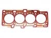 Cylinder Head Gasket:56 07 300