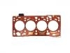 Cylinder Head Gasket:03N 103 383 F