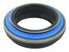 Oil Seal:15919548